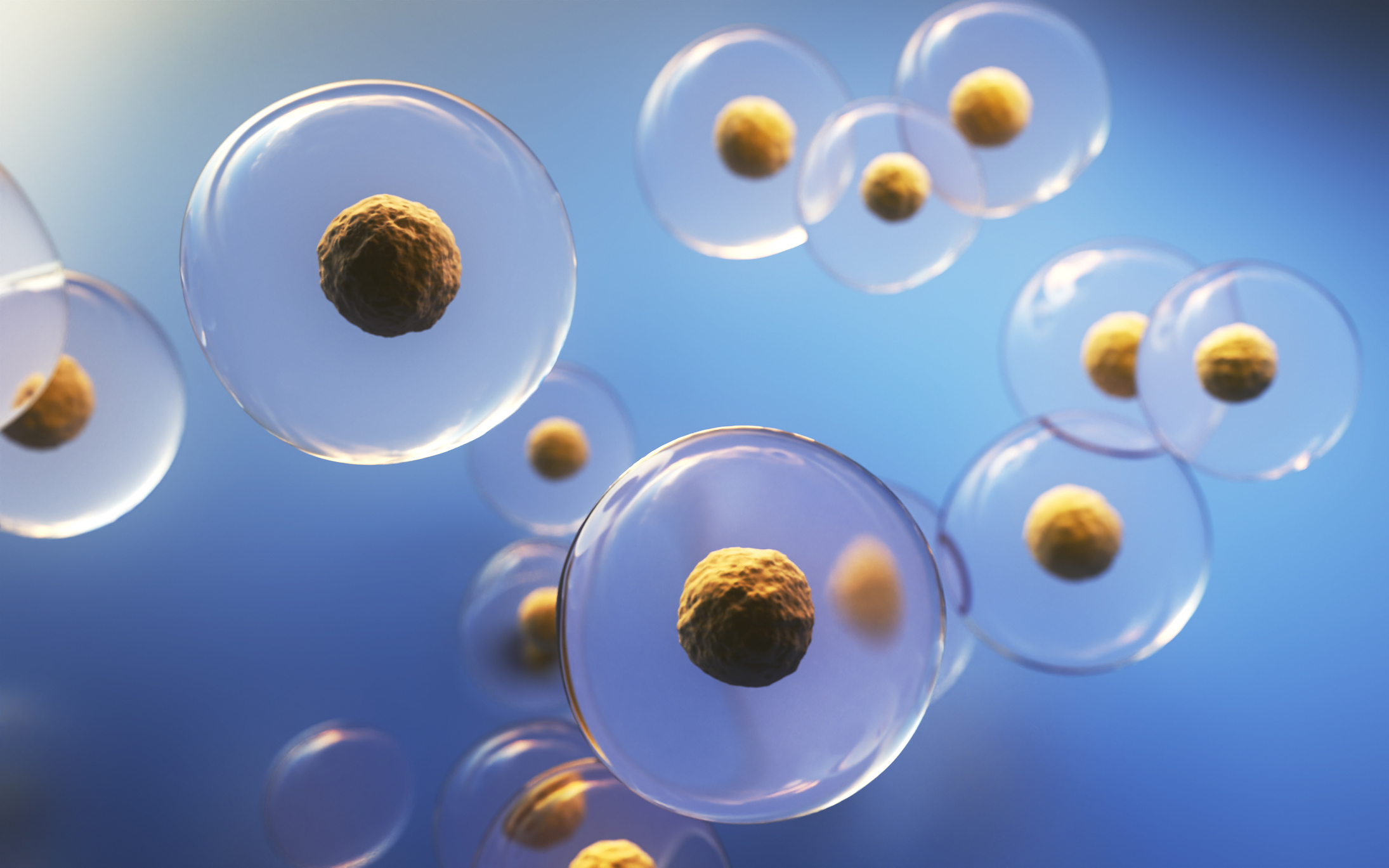 Stem Cell Therapy