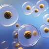 Stem Cell Therapy
