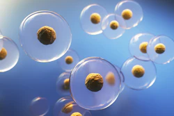 Stem Cell Therapy