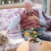 Elderly man relaxing on a purple floral sofa with a small dog beside him and potted flowers nearby