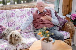 Elderly man relaxing on a purple floral sofa with a small dog beside him and potted flowers nearby