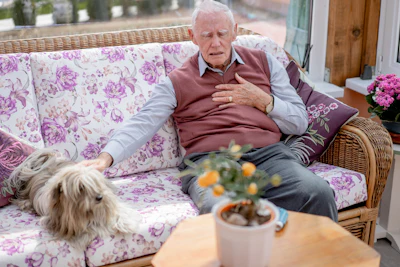 Elderly man relaxing on a purple floral sofa with a small dog beside him and potted flowers nearby