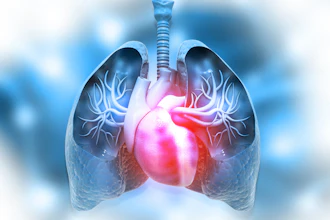 3D medical illustration of human lungs and heart with pulmonary blood vessels highlighted in red against blue respiratory anatomy