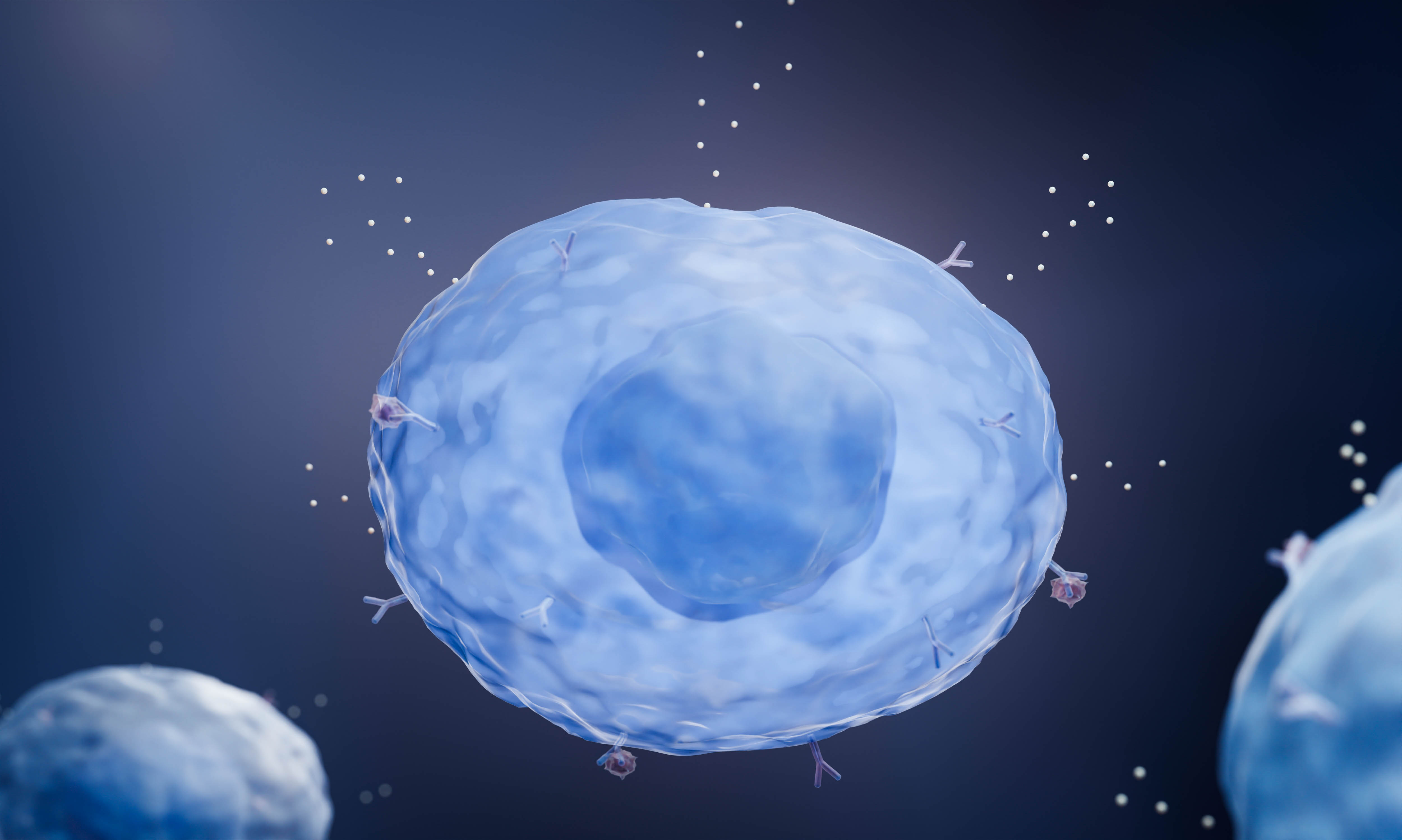 Blue and white microscopic cell with translucent membrane and granular interior structure against dark background