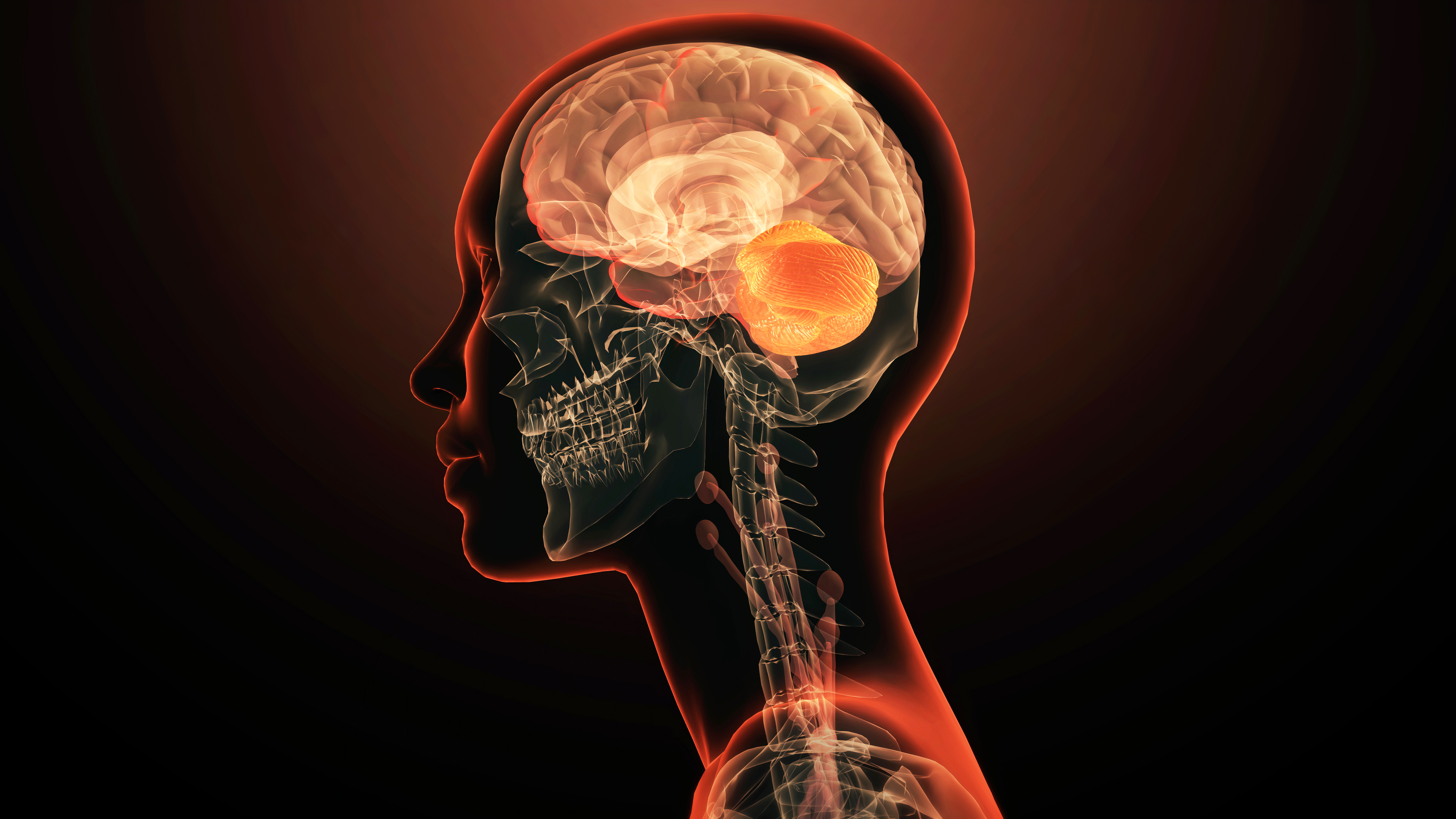 Medical illustration of human head showing brain, skull, and nervous system with glowing orange highlights on dark background