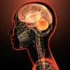 Medical illustration of human head showing brain, skull, and nervous system with glowing orange highlights on dark background