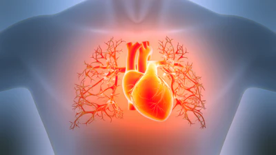 Glowing red heart with branching blood vessels and coronary arteries illustrated on transparent human torso
