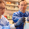Two researchers in blue lab coats examining samples in a laboratory setting with shelves of scientific equipment and supplies